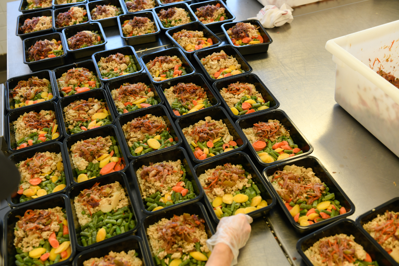 Table lined with rows of black rectangle food trays filled with colorful food. Table lined with rows of black rectangle food trays filled with colorful food.