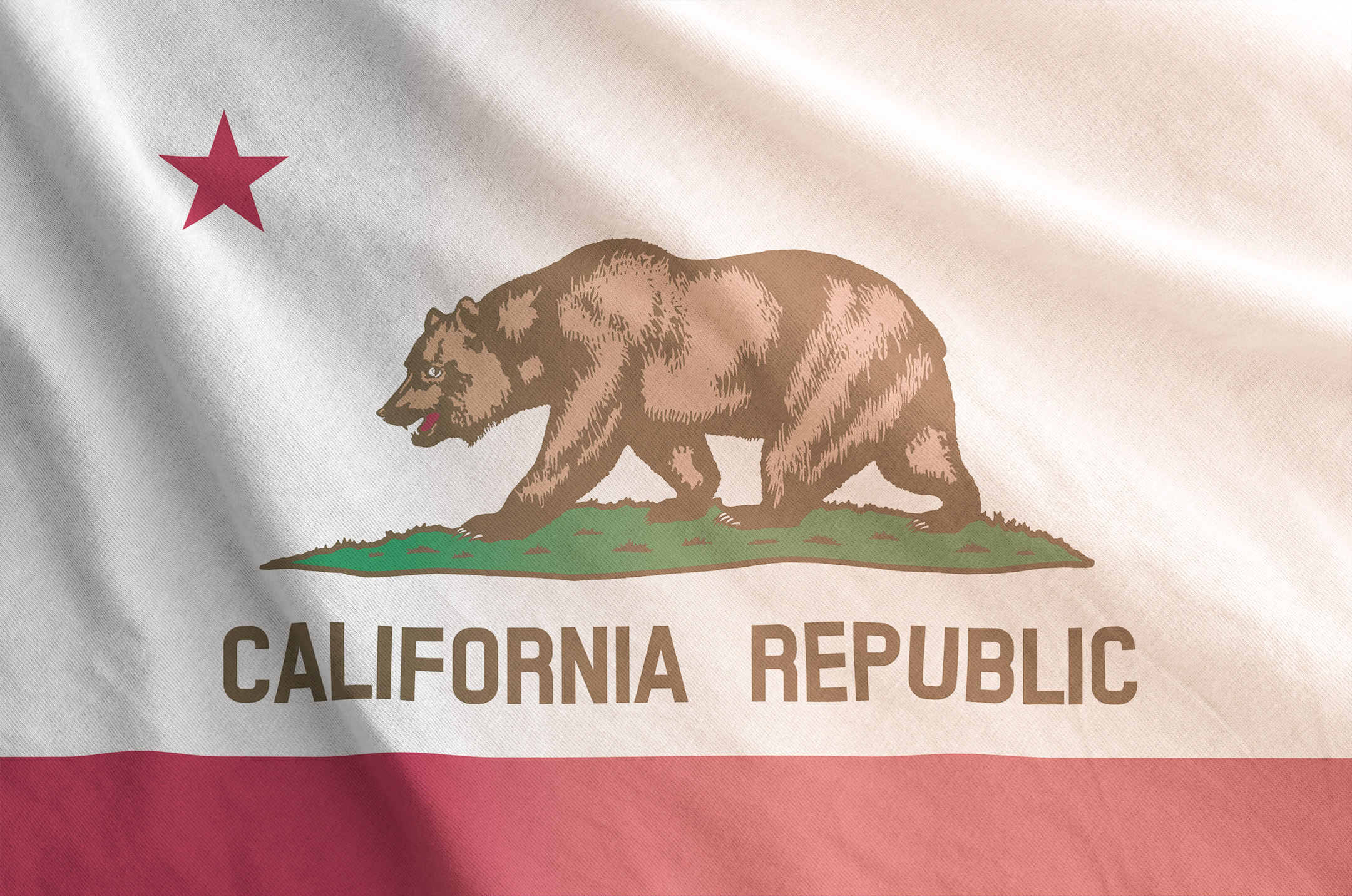 The California state flag